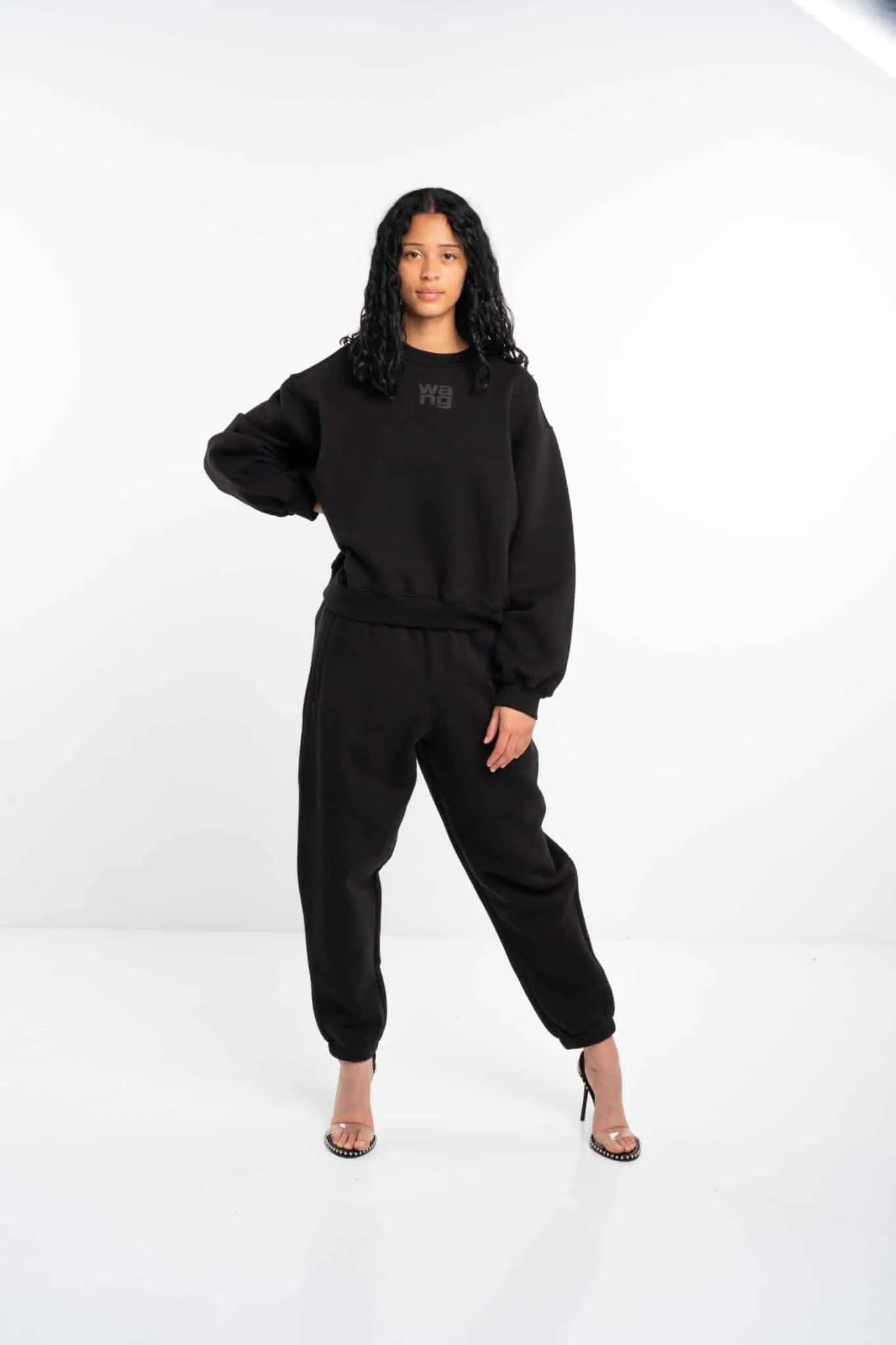 (Core) Alexander Wang Ladies Essential Terry Crew Sweatshirt w/ Puff Paint Logo Black 4CC3241508 001